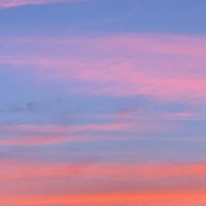 Meet your Posher, Narine